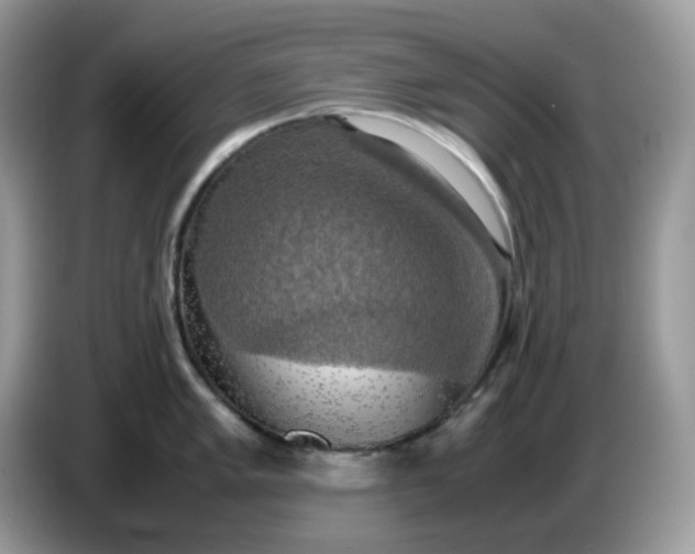 X0000086761005200704271726