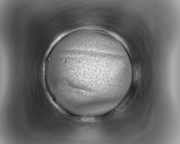 X0000086761006200704271726