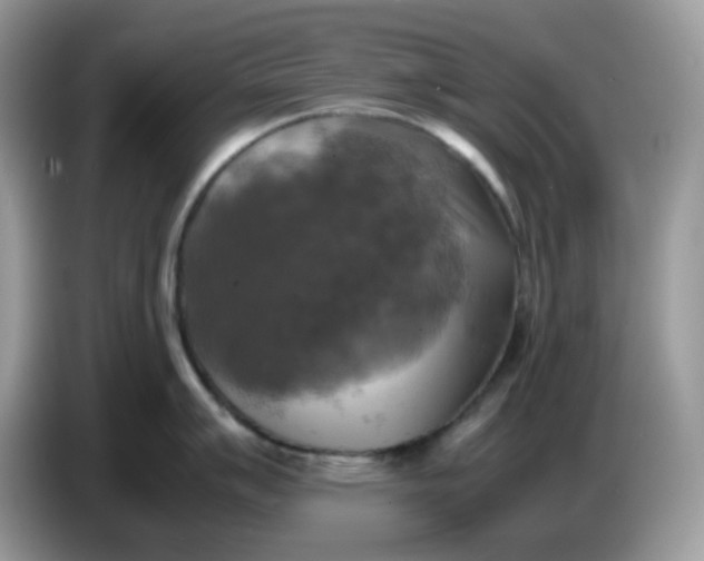 X0000086761007200704271726