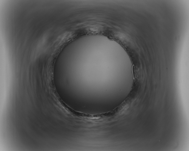 X0000086761009200704271726