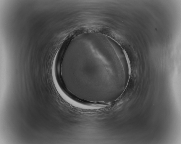 X0000086761010200704271726