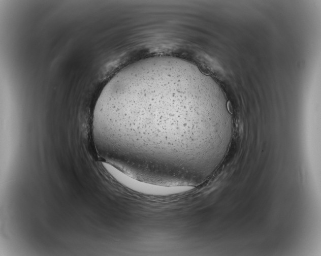 X0000086761012200704271726