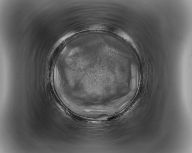 X0000086761019200704271726