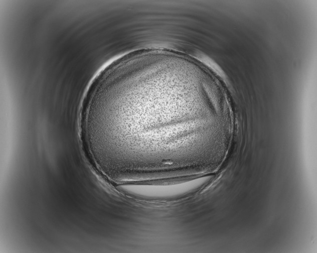 X0000086761020200704271726