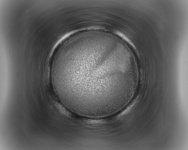 X0000086761021200704271726