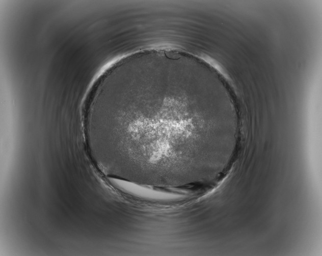 X0000086761022200704271726