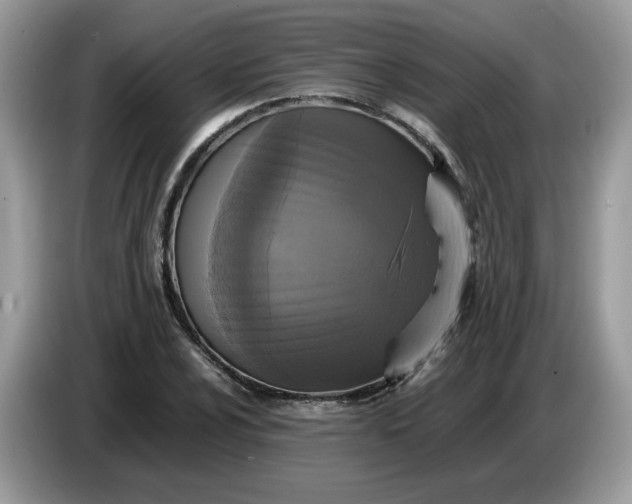 X0000086761024200704271726