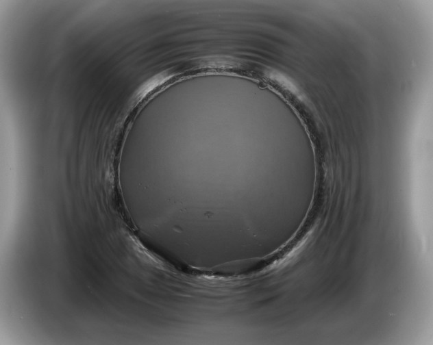 X0000086761025200704271726