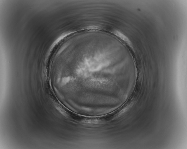 X0000086761027200704271726