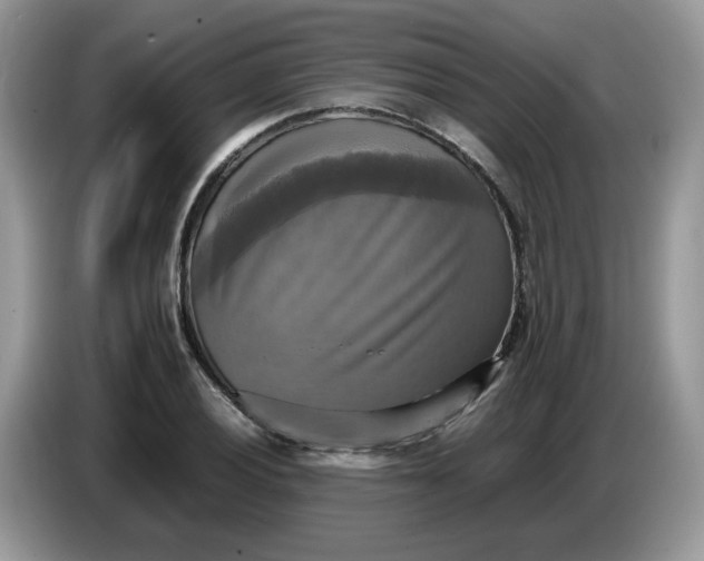 X0000086761028200704271726