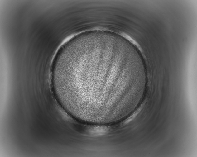 X0000086761029200704271726