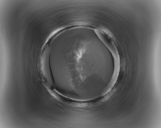 X0000086761030200704271726