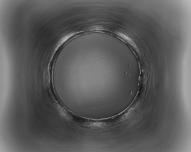 X0000086761031200704271726