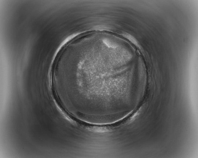 X0000086761032200704271726