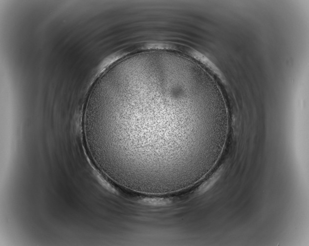 X0000086761033200704271726