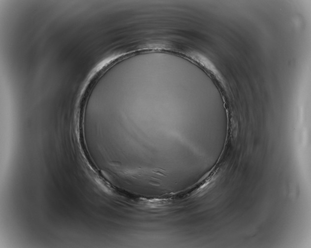 X0000086761035200704271726