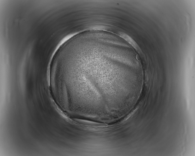 X0000086761036200704271726