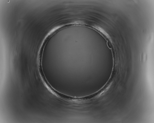 X0000086761037200704271726