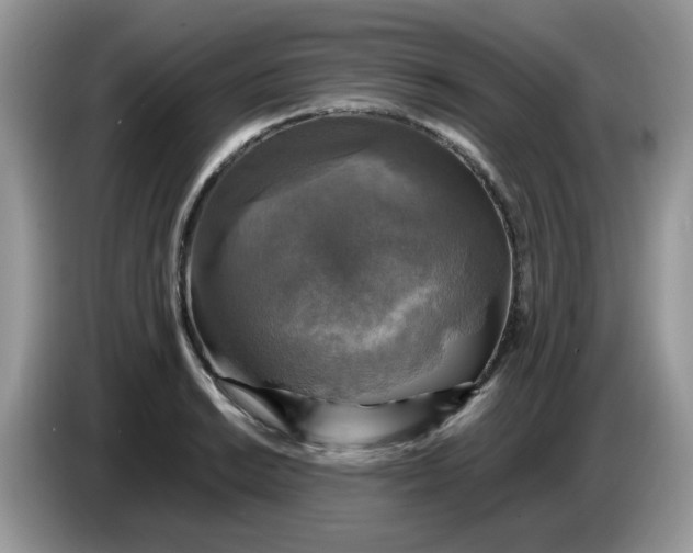 X0000086761038200704271726