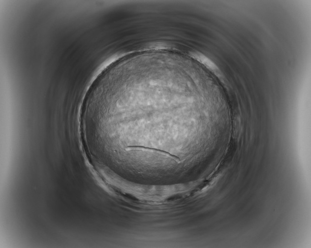 X0000086761039200704271726