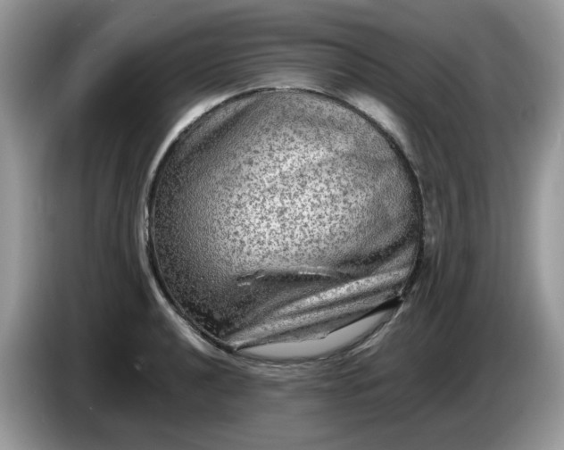 X0000086761040200704271726