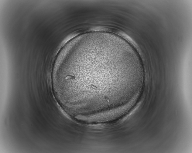 X0000086761041200704271726