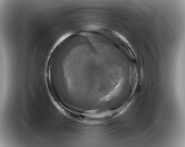 X0000086761042200704271726