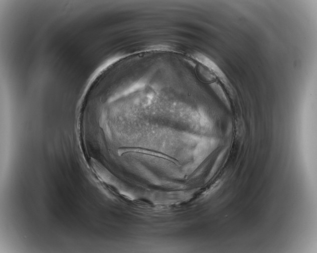 X0000086761043200704271726