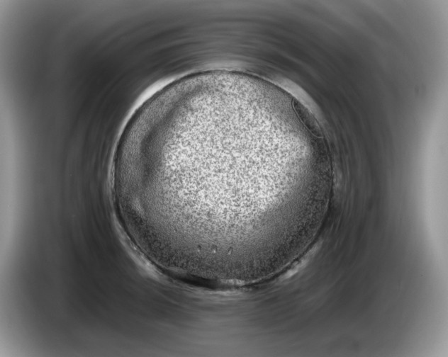 X0000086761044200704271726