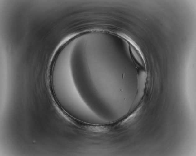 X0000086761045200704271726