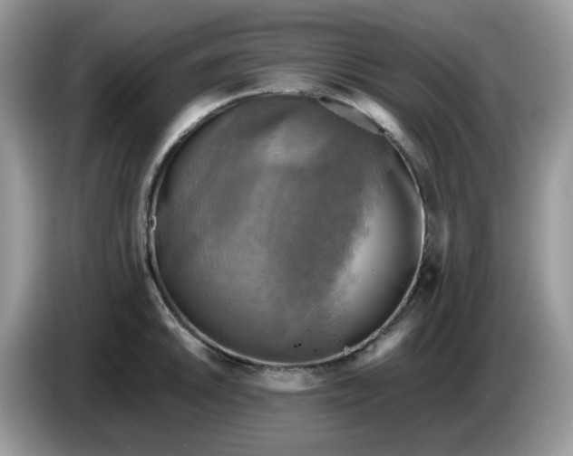 X0000086761046200704271726