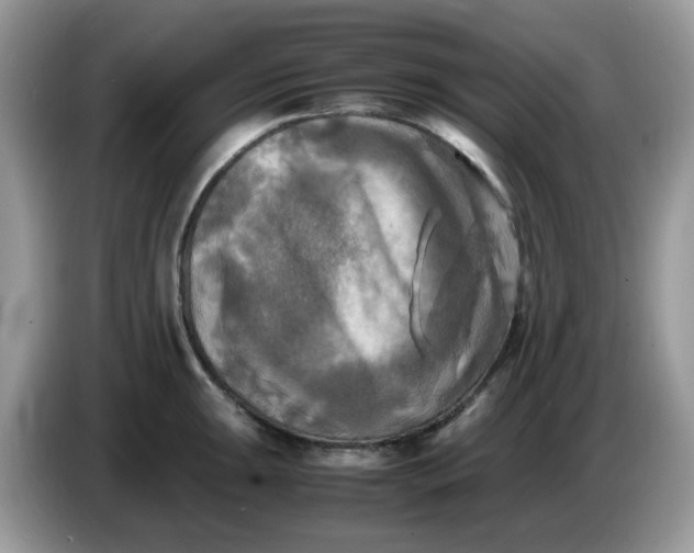 X0000086761047200704271726