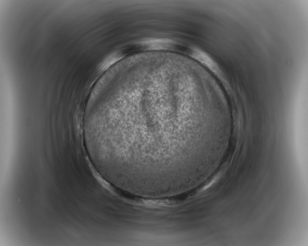 X0000086761049200704271726