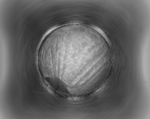 X0000086761051200704271726