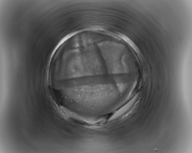 X0000086761052200704271726