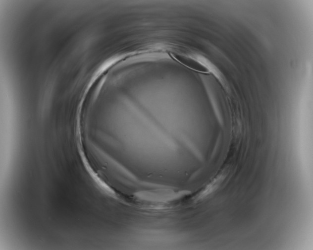 X0000086761055200704271726