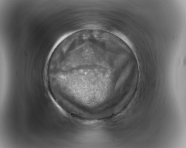 X0000086761056200704271726