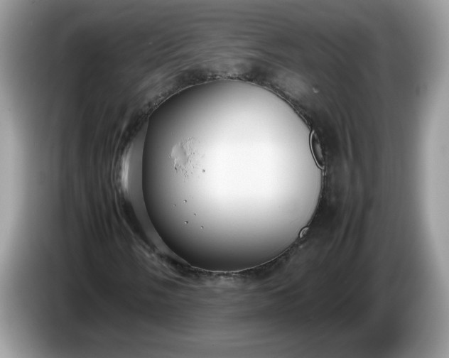 X0000086761058200704271726