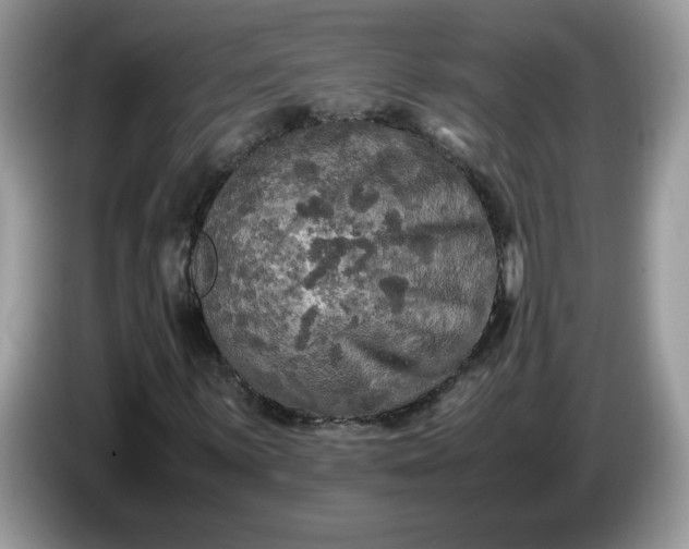 X0000086761059200704271726