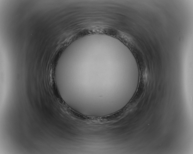 X0000086761060200704271726