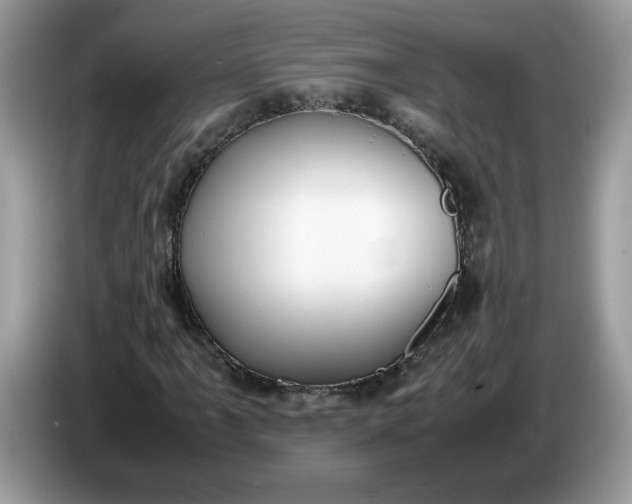 X0000086761061200704271726