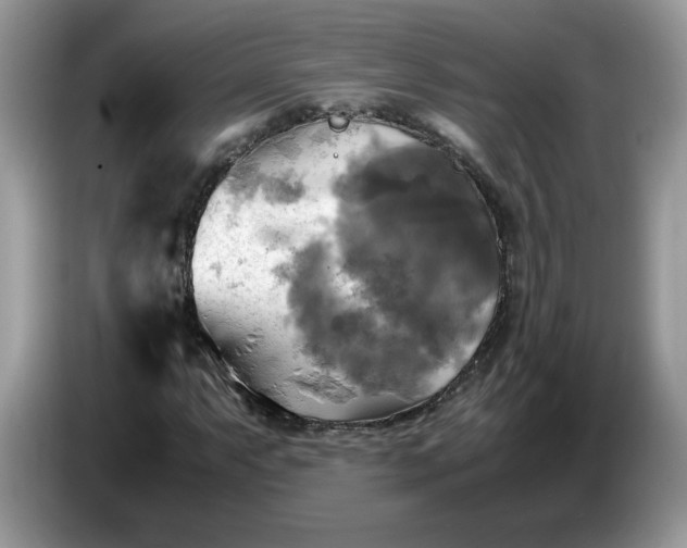 X0000086761063200704271726