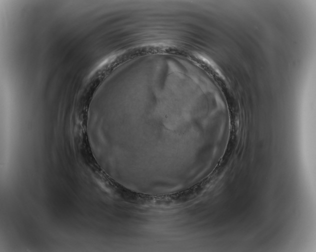 X0000086761064200704271726