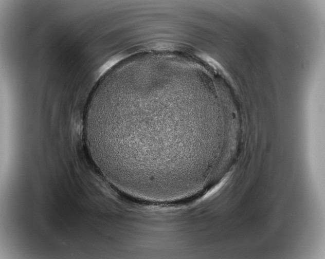 X0000086761065200704271726