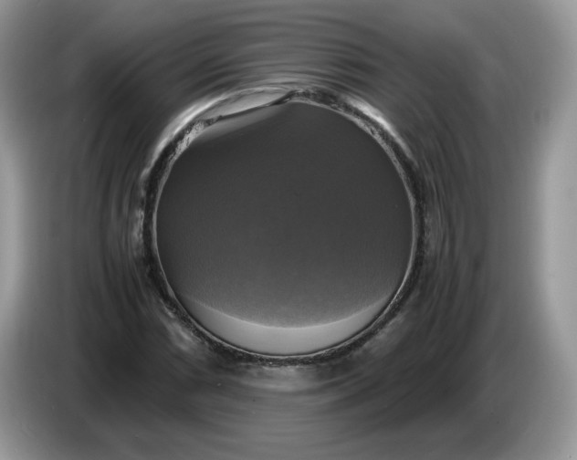 X0000086761066200704271726