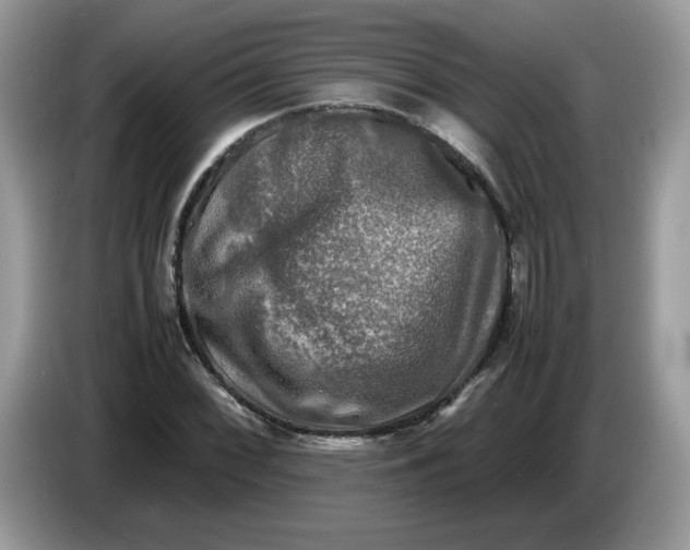 X0000086761068200704271726