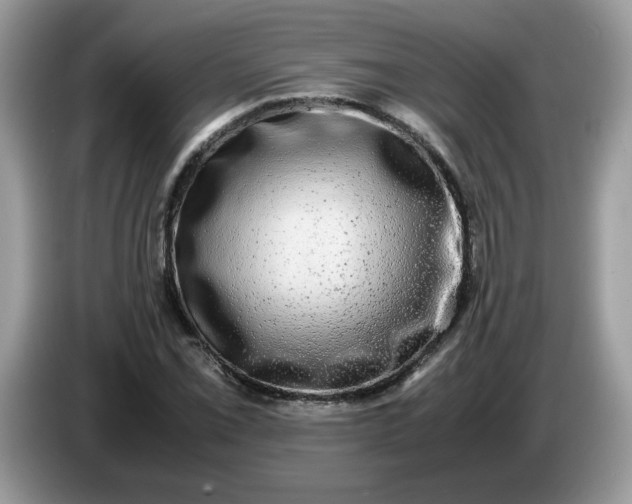 X0000086761069200704271725