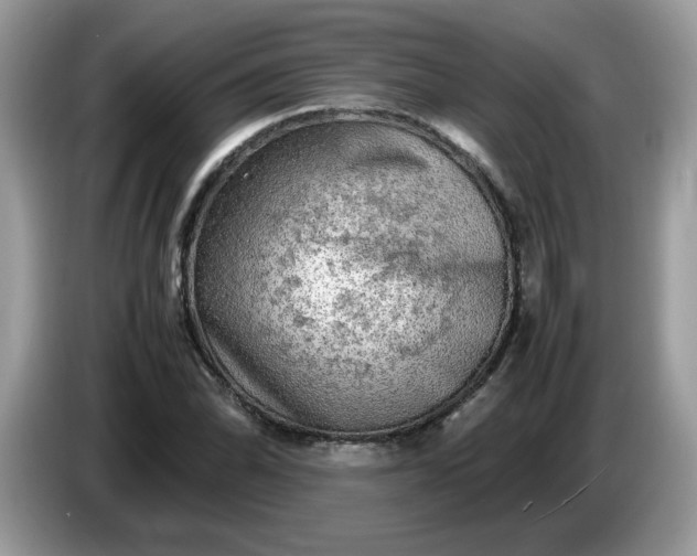 X0000086761070200704271725