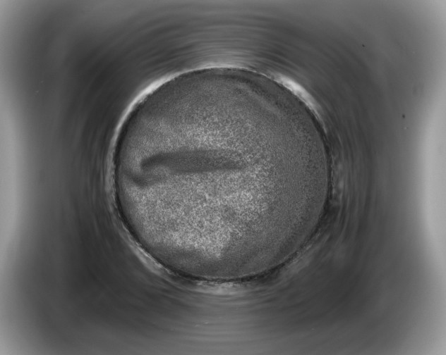 X0000086761072200704271725