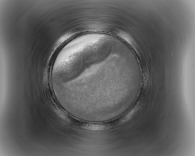 X0000086761074200704271725